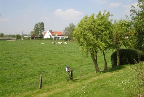 omgeving1ds