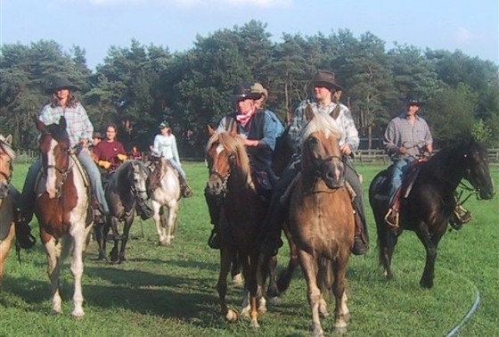 paarden3ws1